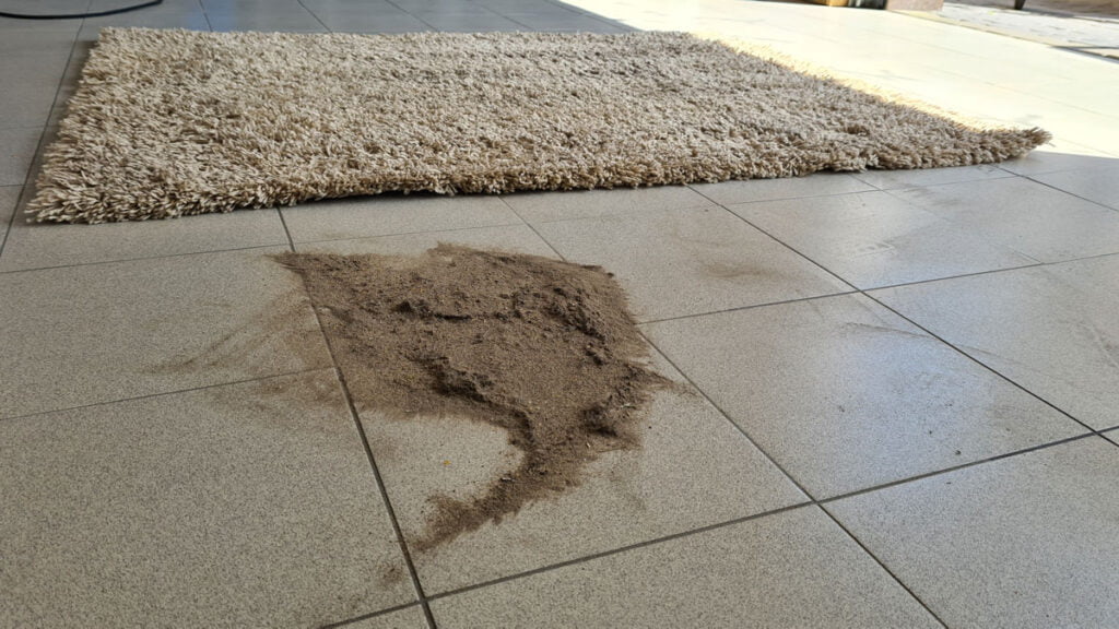 Dywan oczekujący na czyszczenie